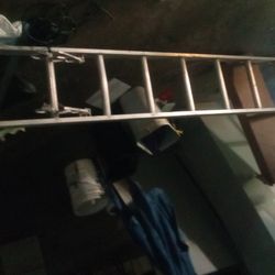 Long Tall Ladder 