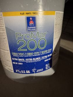 3-4 Gallons ProMar 200 Flat SW7646 First Star