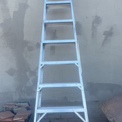 10 Foot Tall Ladder 