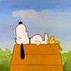 Snoopy (SW-Panama Lane) 