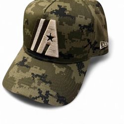 Houston Astros