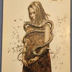 Dvds and Season One of  Knightrider Series