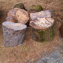 Free Firewood 