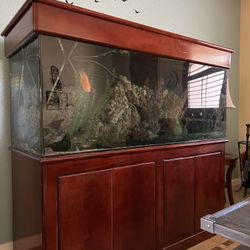 150 gallon aquarium for sale cheap