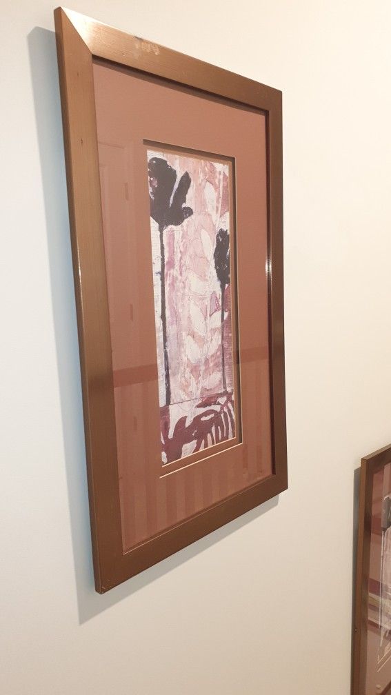 Framed Picture Art