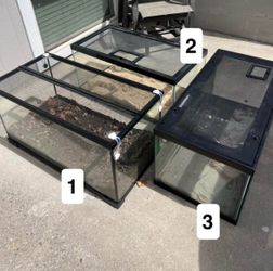 Reptile Tanks