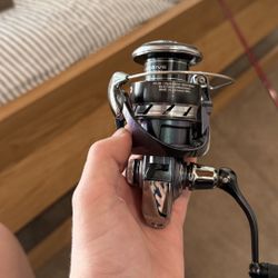 Daiwa Regal Still In The Box