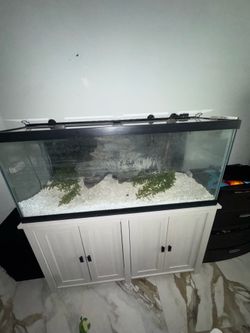 75 Gallon fish tank with 2 fluvel filters  307,207