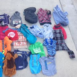 Small dog clothes