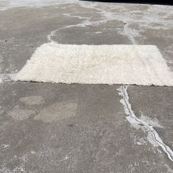 Fokari Area Rug 4 X 6”