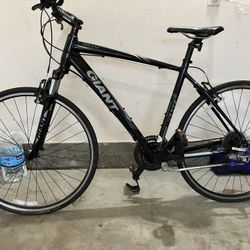 Trek Hybrid Bike