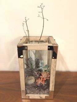 Succulent Terrarium Arrangements