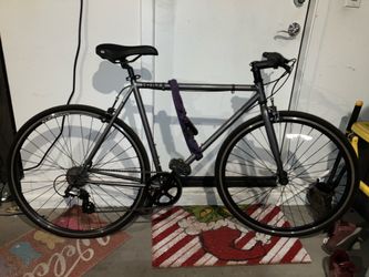 Bicycle 10 Speed