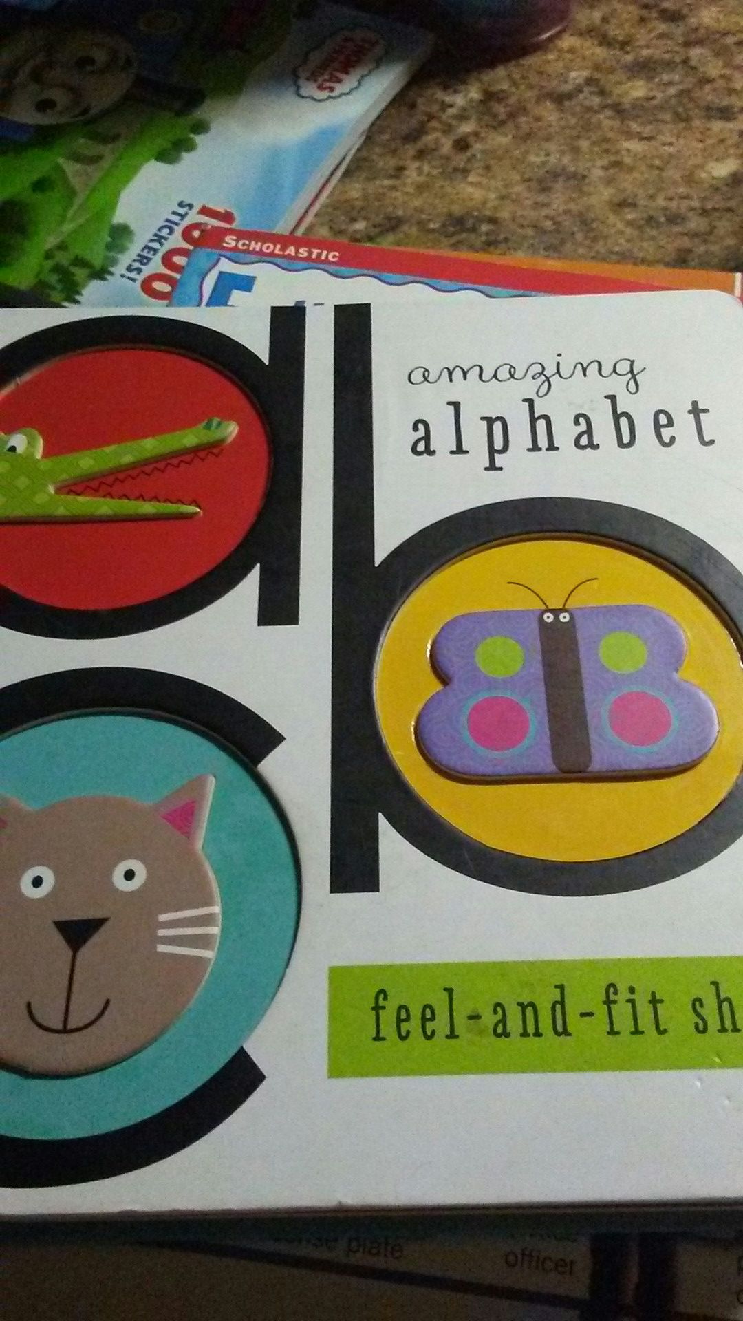 Amazing Alphabet Book