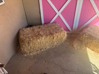 Hay