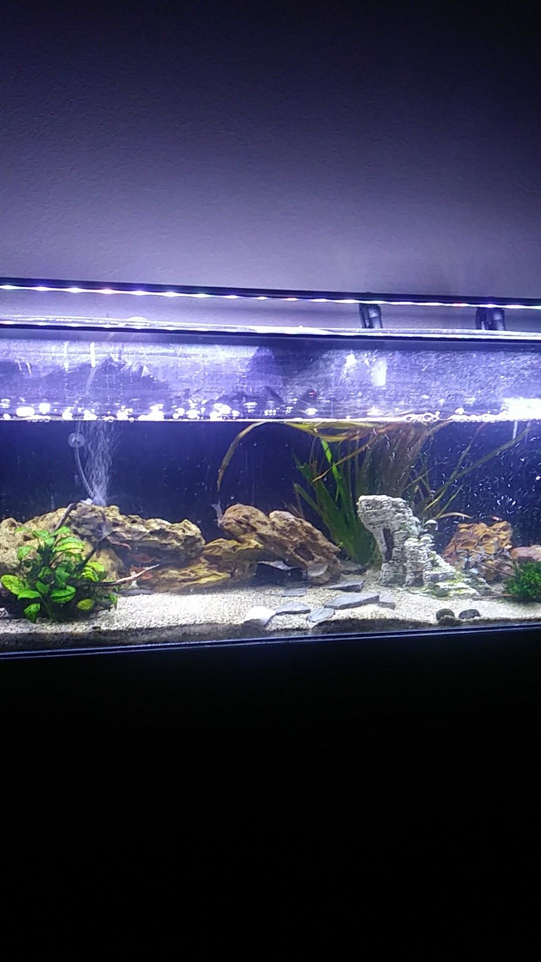 For sale 55 gallon acrylic fish aquarium for Sale in West Covina, CA ...