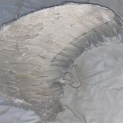 Angel Wings