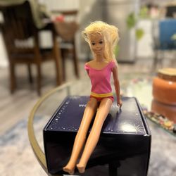 Malibu Barbie Friend Francis