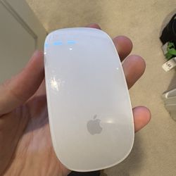 Apple Wireless Mouse + Razer Naga Trinity Gaming Mouse