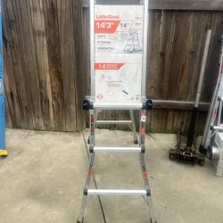 Little Giant Ladder