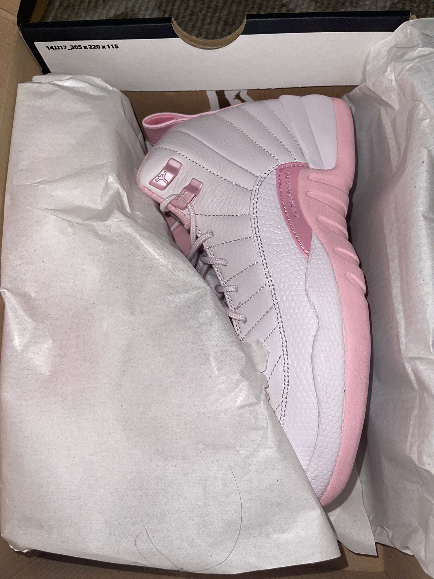 Air Jordan 12 Retro GS