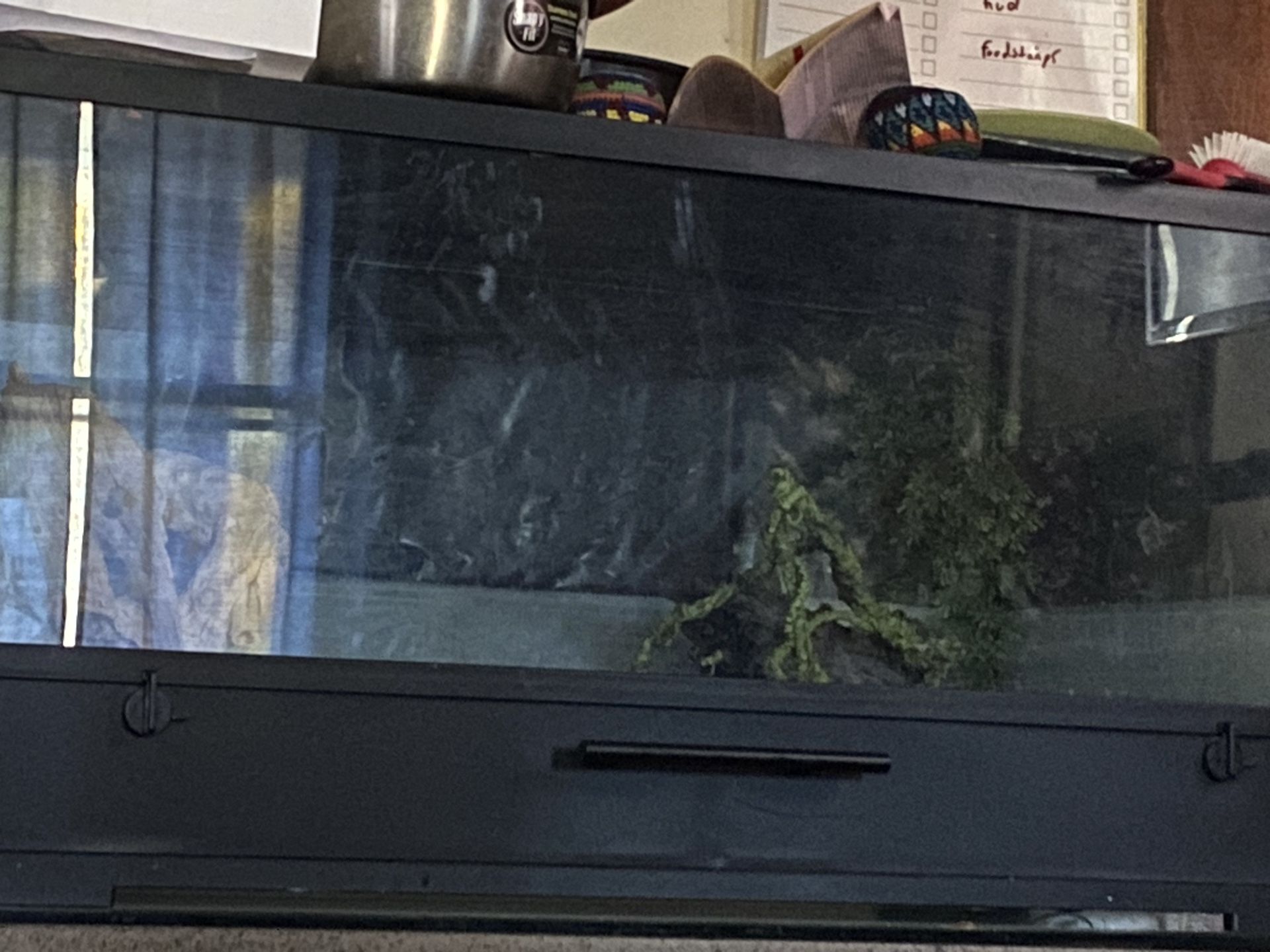 Reptile Enclosure