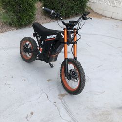 Pegasus Electric Fast Bike