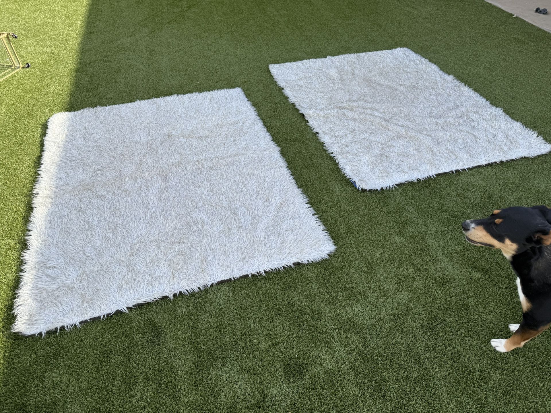 PupProtector Waterproof Throw Blanket/Dog Bed