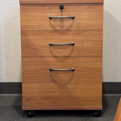 Rolling File Cabinet – Need Gone Fast!