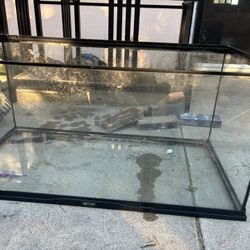 40 Gallon Tank/reptile Enclosure 