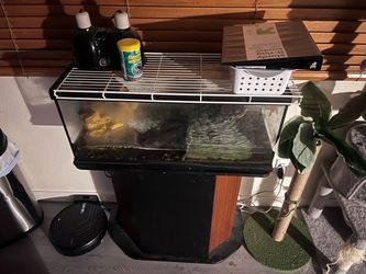 Glass Reptile or Turtle Tank with Screen Lid