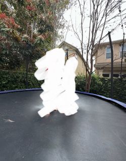 Big Trampoline  in great condition