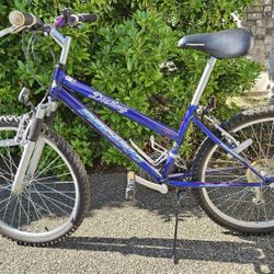 Pacific Destiny Bike