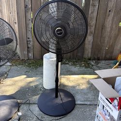 Fan