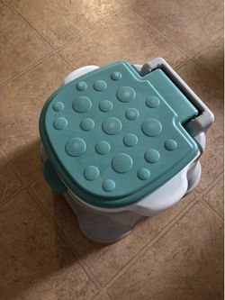 Potty toilet