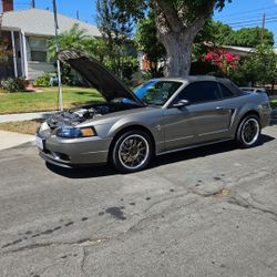 2001 Ford Mustang