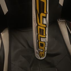 Easton Cyclone Baseball Bat 