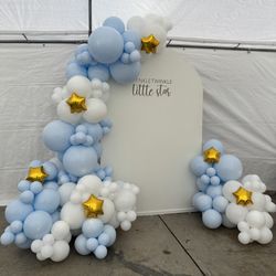 Balloon Backdrops 