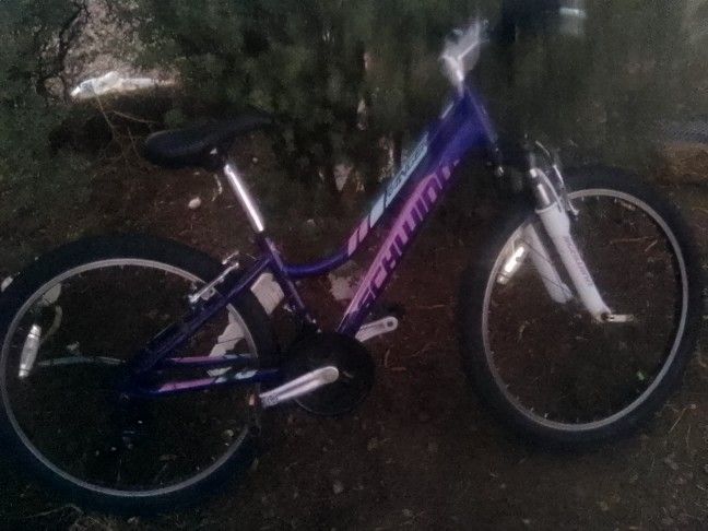 Schwinn Ranger 24" Mountain Bike