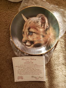New Cub Collector Plate With COA