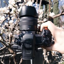 Canon R5C + 24mm 1.8 STM