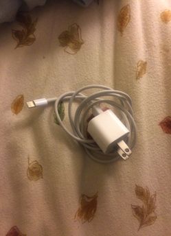 Iphone charger