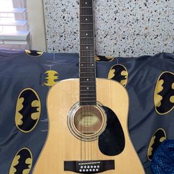 12 String Acoustic Guitar