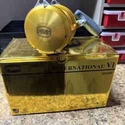 PENN VISX 30 INTERNATIONAL