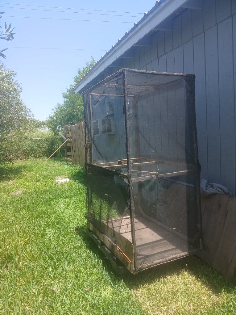 Bird Cage