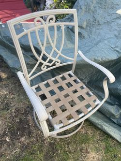 Swivel/rock  Outdoor Chair