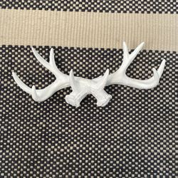 White antlers