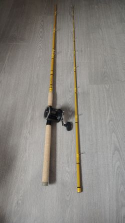 Eagle Claw/Penn Salmon Rod