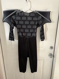 Costume Minecraft