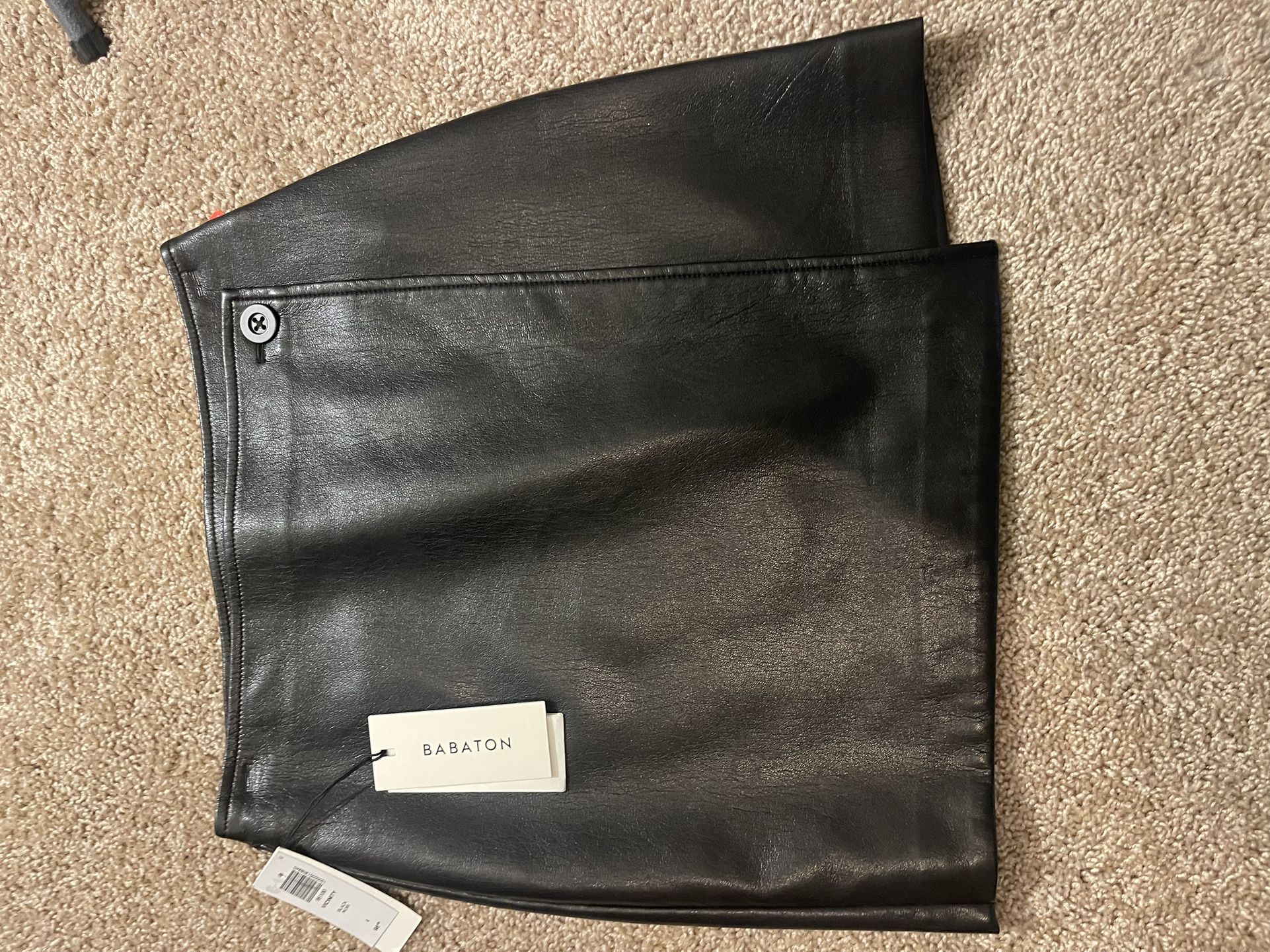 Aritzia Babaton Leather Mini Skirt
